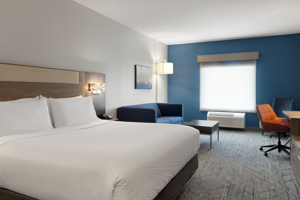 Suite, 1 King Bed - Photo 2