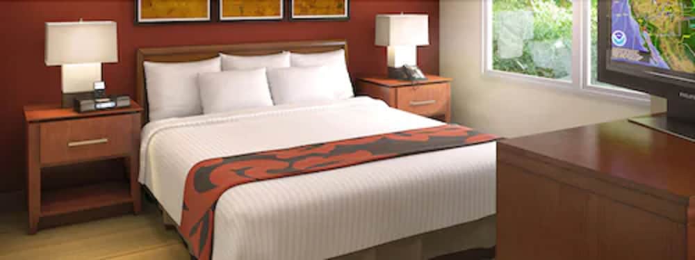 Suite, 1 Bedroom, City View thumbnail 5