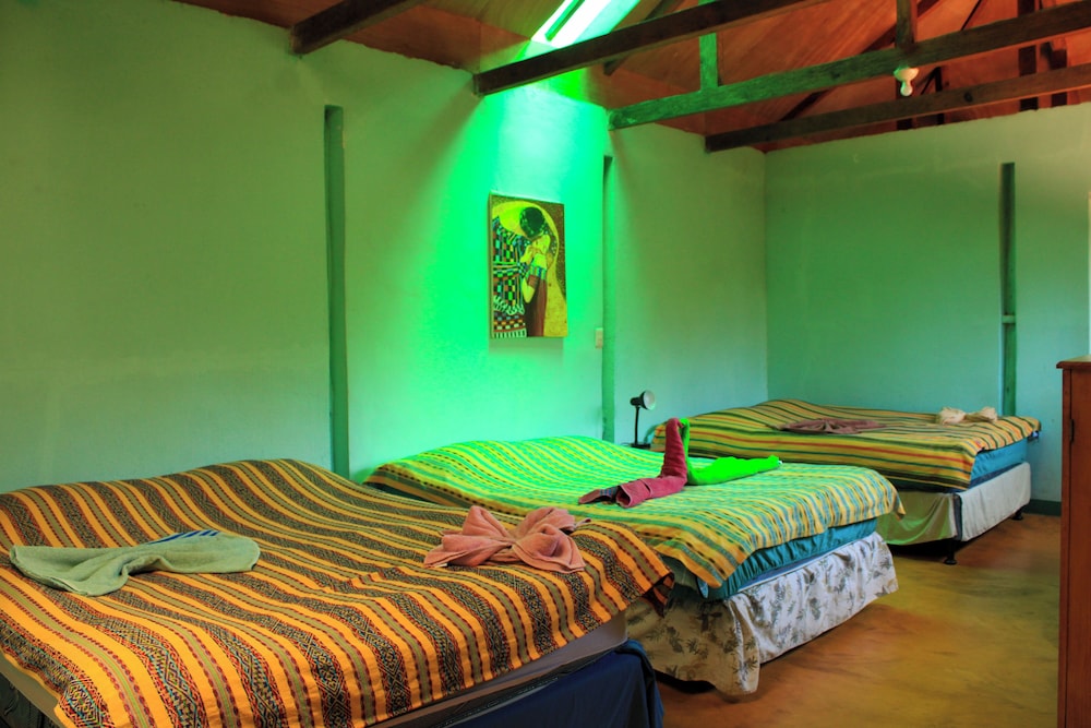Standard Cabin, Multiple Beds photo 2