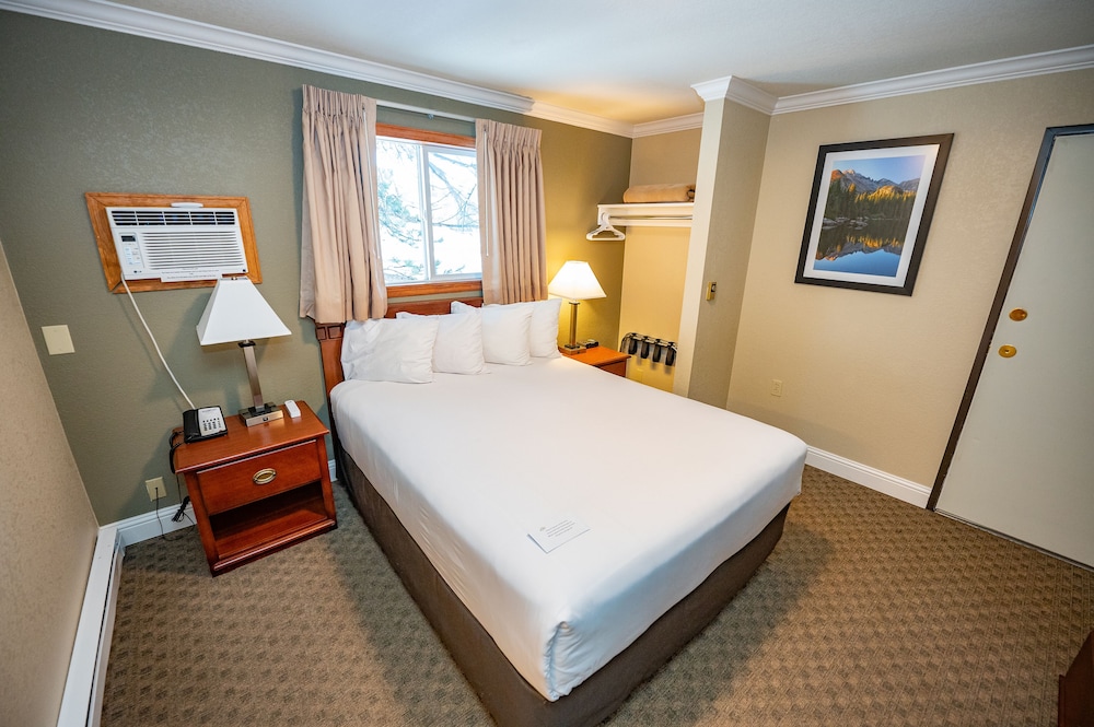 Junior Studio Suite, 1 Bedroom, Refrigerator & Microwave photo 1