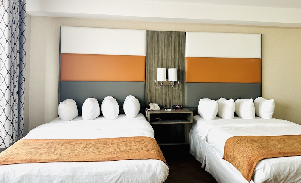 Kitchenette Suite With Two Beds And A Separate Living Area photo 3