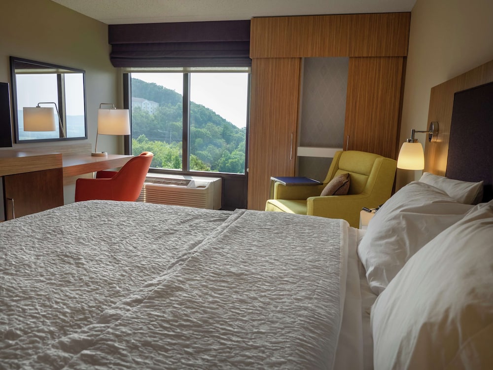 Room, 1 King Bed, Non Smoking, Valley View - Photo 1