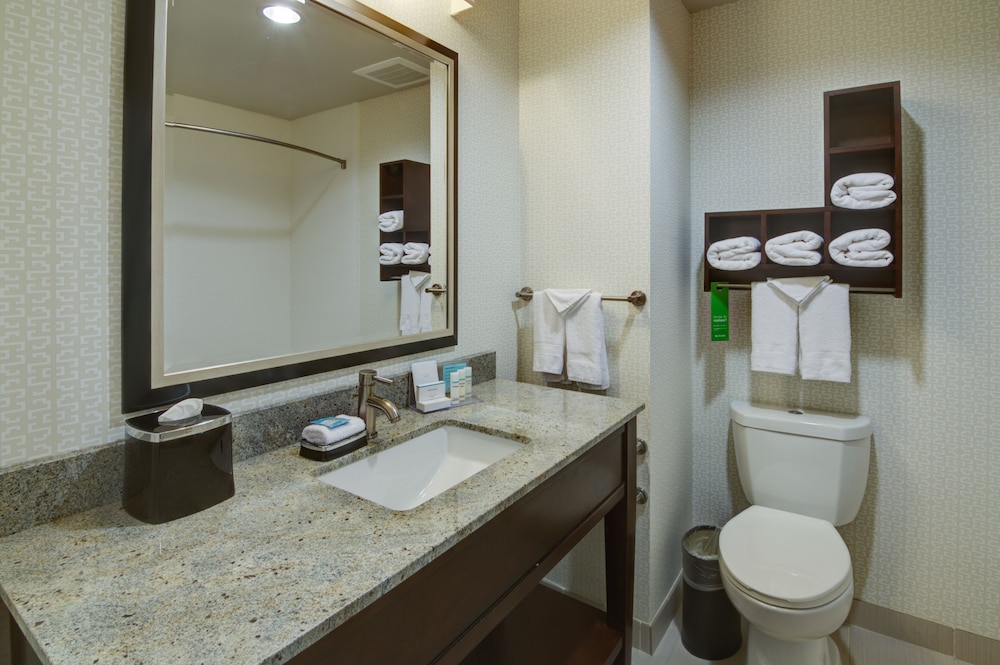 Studio, 1 King Bed, Accessible, Bathtub (Mobility & Hearing), photo 6
