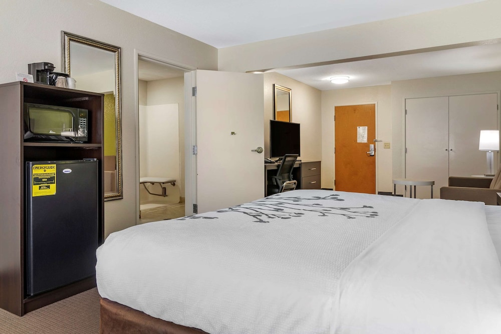 Suite, 1 King Bed with Sofa bed, Accessible, Non Smoking - Photo 2