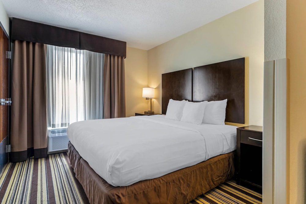 Room, 1 King Bed, Non Smoking, Refrigerator (Upgrade) photo 1