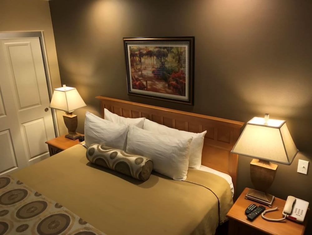 One Bedroom - Photo 3
