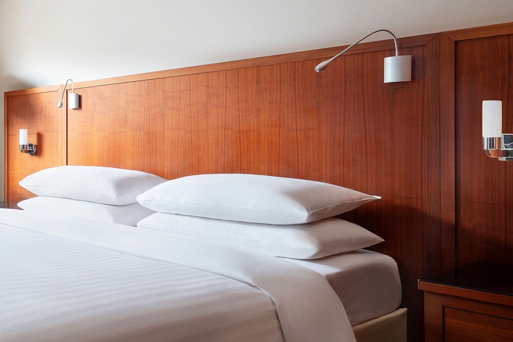 Standard Room, 1 King Bed, Mountain View
