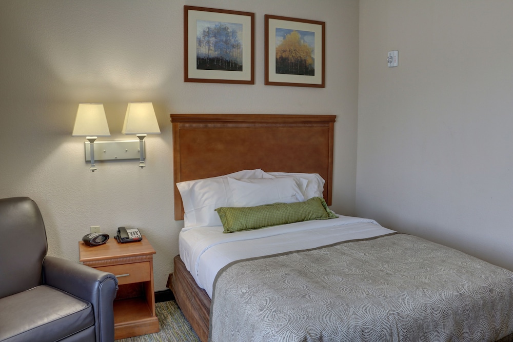 Suite, 1 Bedroom - Photo 3