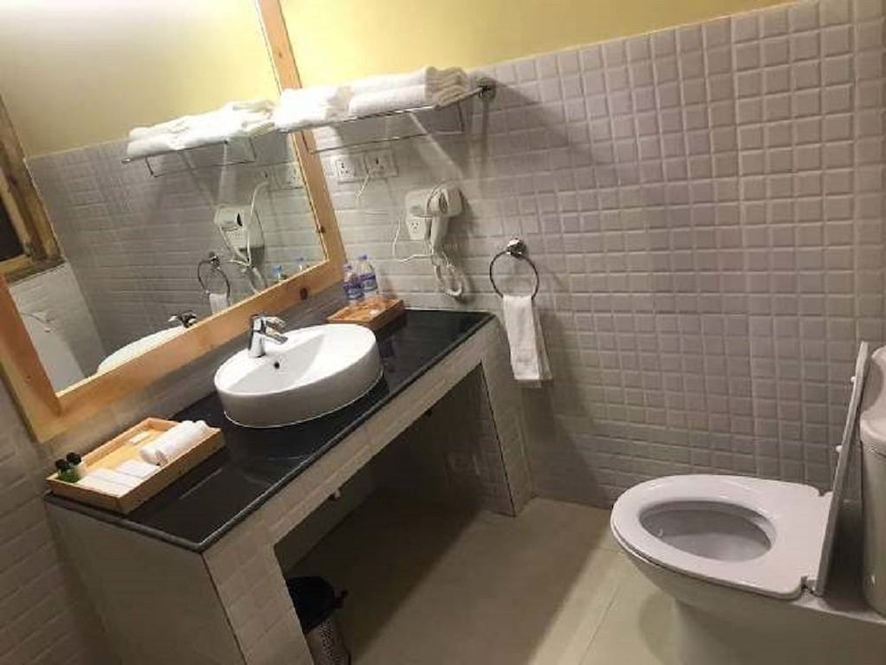 Deluxe Double or Twin Room photo 3