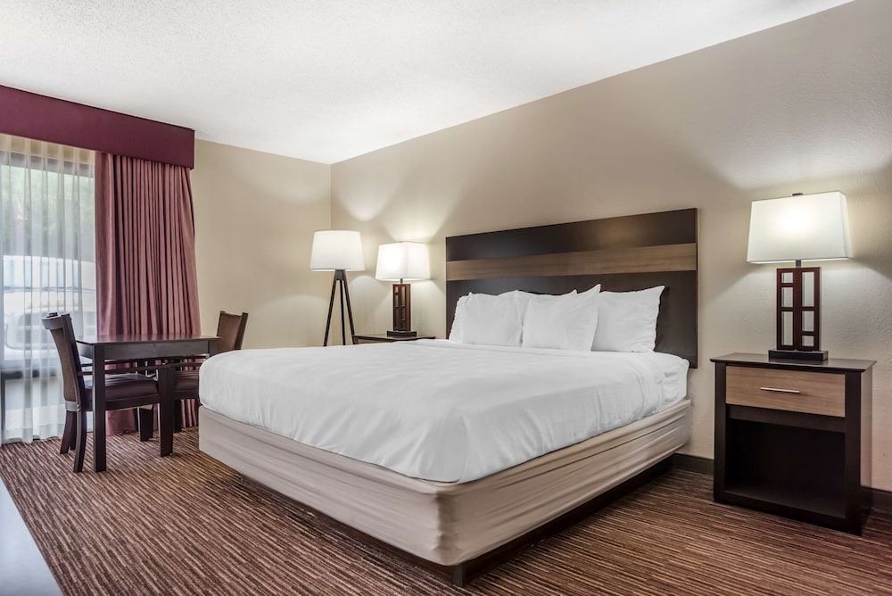 Standard Room, 1 King Bed, Accessible, Refrigerator & Microwave - Photo 3