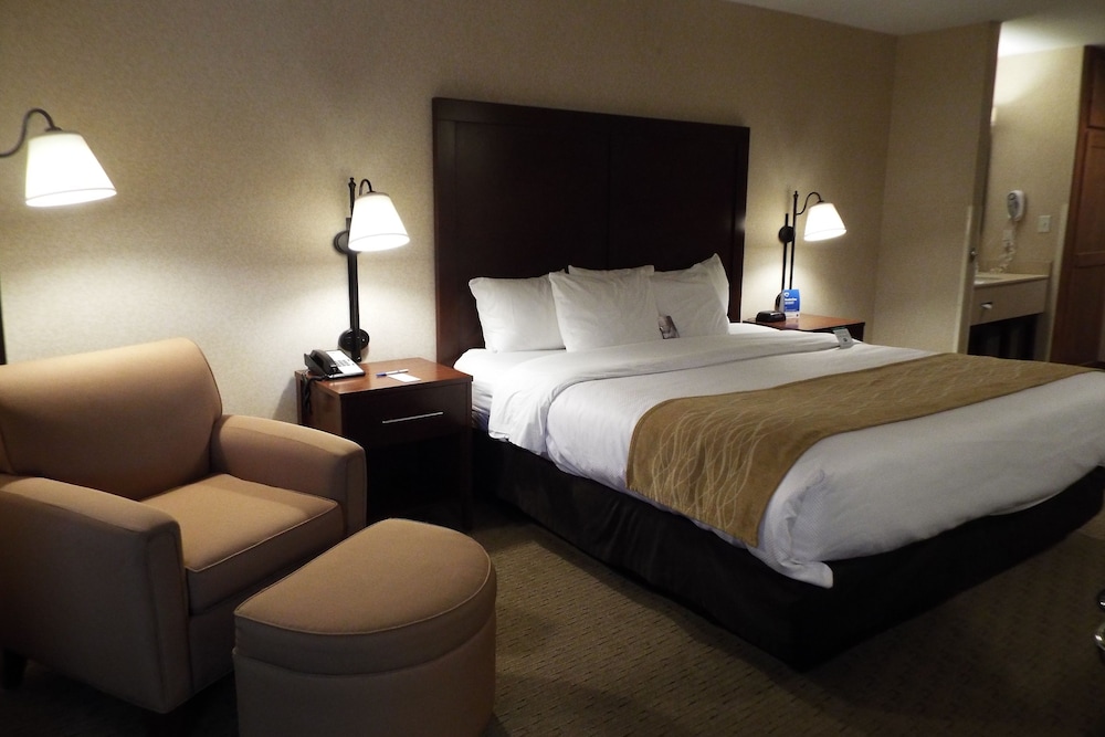 Standard Room, 1 King Bed, Non Smoking - Photo 1