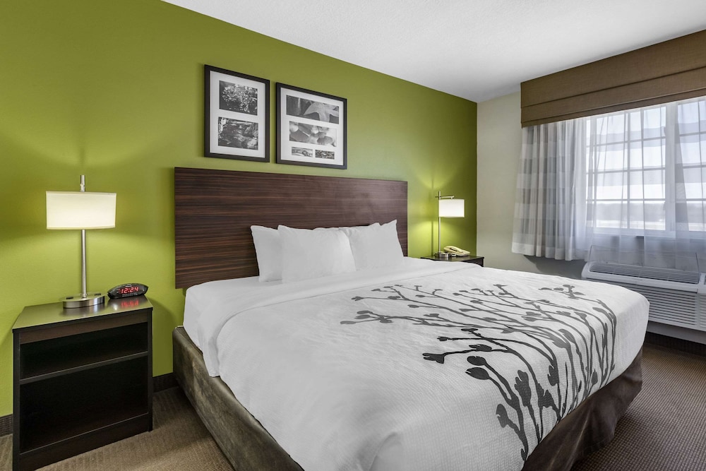 Standard Room, 1 King Bed, Non Smoking - Photo 9