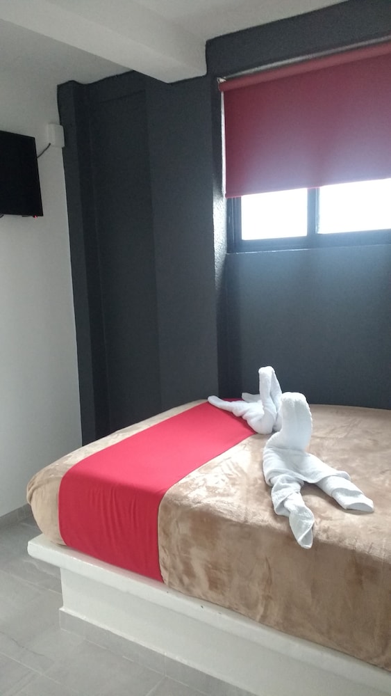 Basic Room photo 1