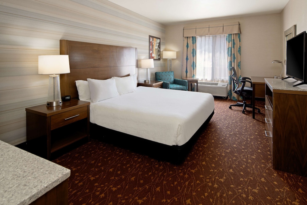 Room, 1 King Bed, Accessible photo 1