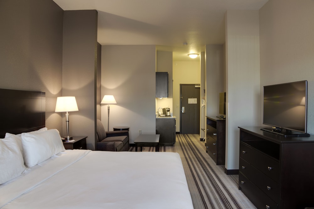 Suite, 1 King Bed (Additional Living Area) photo 3