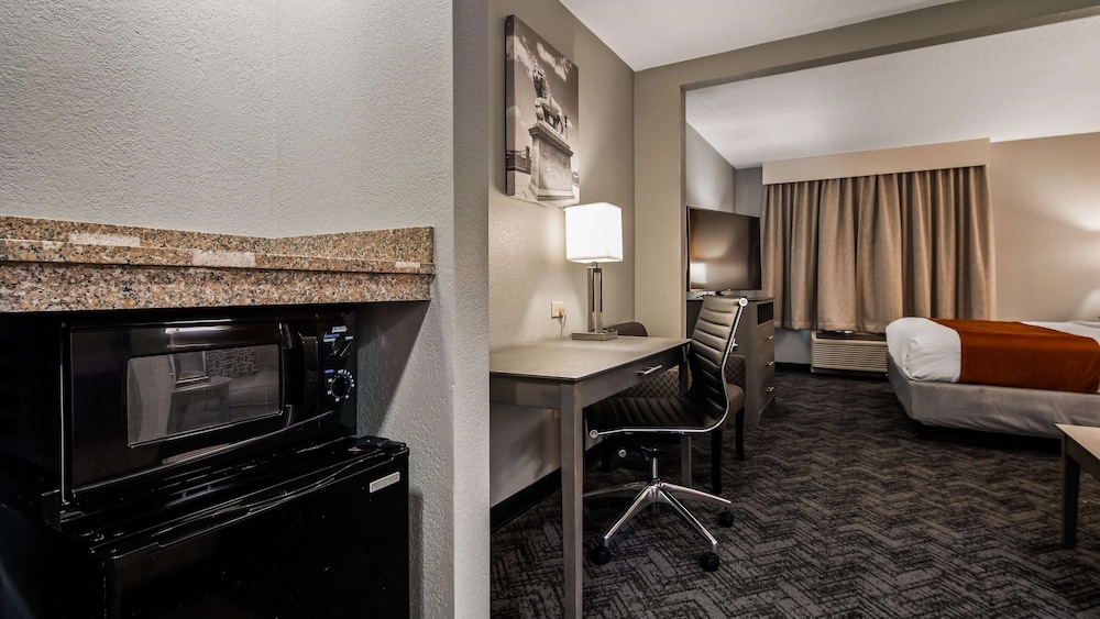 Standard Room, 1 King Bed, Non Smoking, Refrigerator & Microwave (Shower Only) - Photo 3