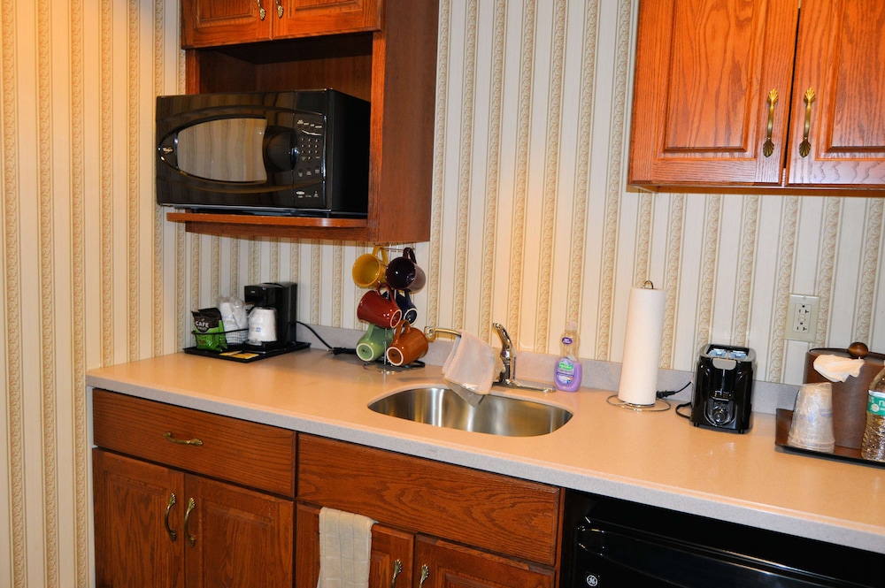 Suite, 1 King Bed, Non Smoking, Kitchenette (with Sofabed) photo 3