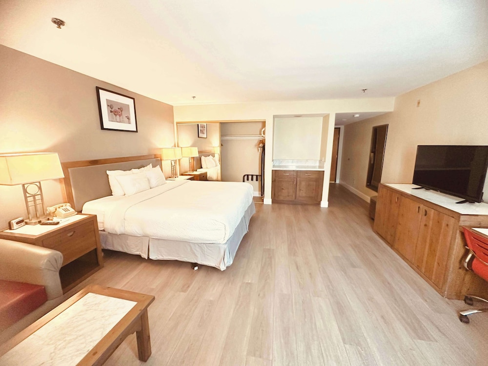 Junior Suite, 1 King Bed, Non Smoking - Photo 1