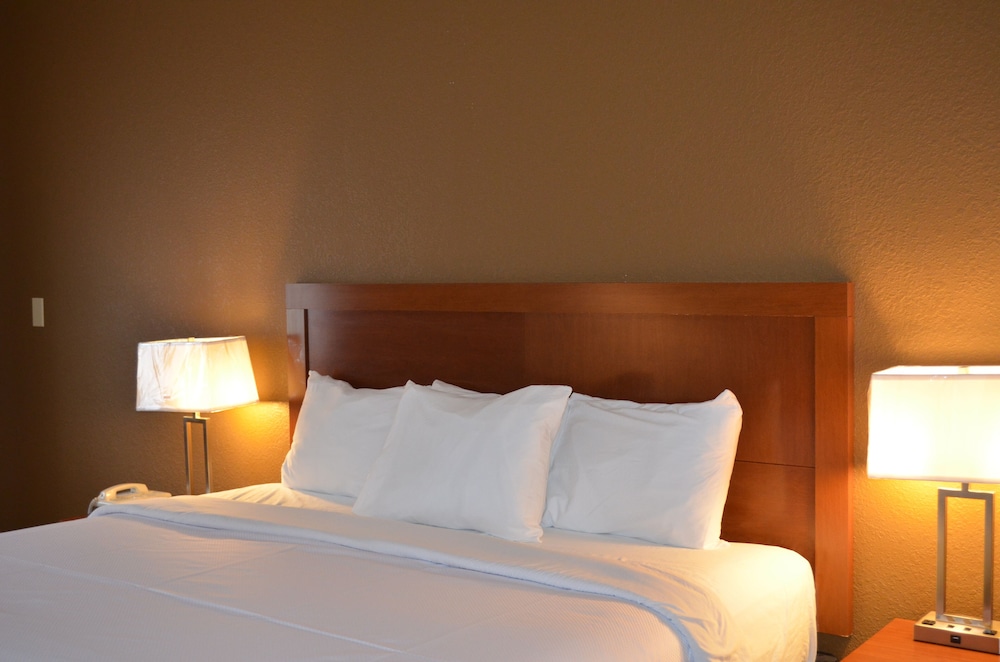 Room, 1 King Bed photo 1