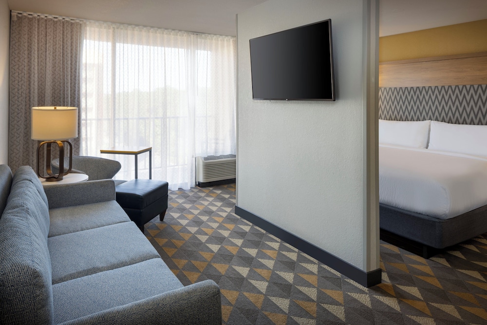 Suite, 1 King Bed with Sofa bed