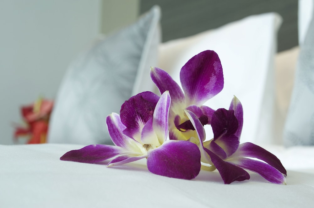 Standard Room, 2 Twin Beds - Photo 4
