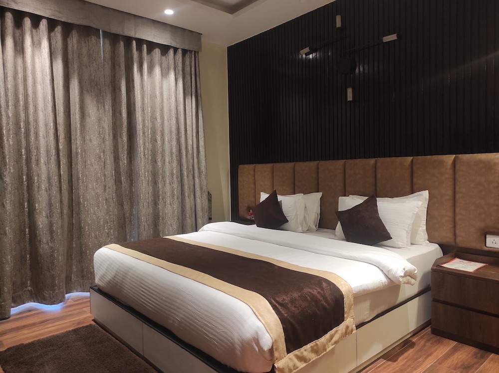 Suite - Photo 1
