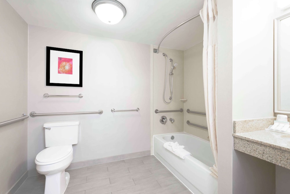 Room, 1 King Bed, Accessible (Mobility & Hearing, Roll-in Shower) - Photo 8