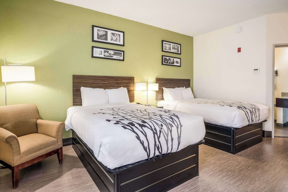 Standard Double Room, 2 Double Beds, Non Smoking photo 2