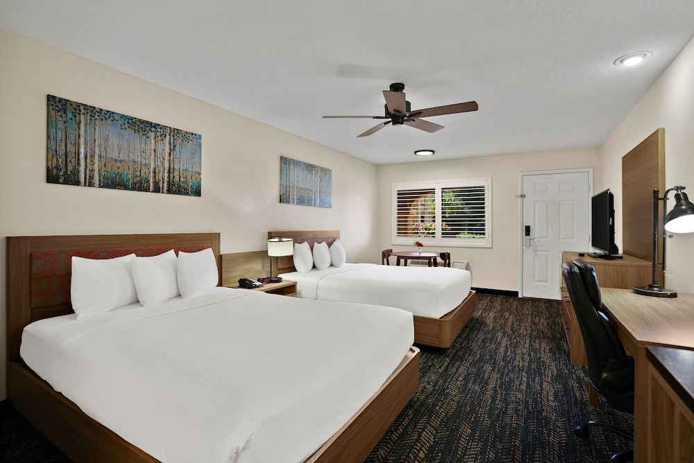 Studio Suite, 2 Queen Beds, Non Smoking photo 3