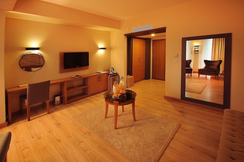 Deluxe Double or Twin Room, 1 Double Bed photo 2