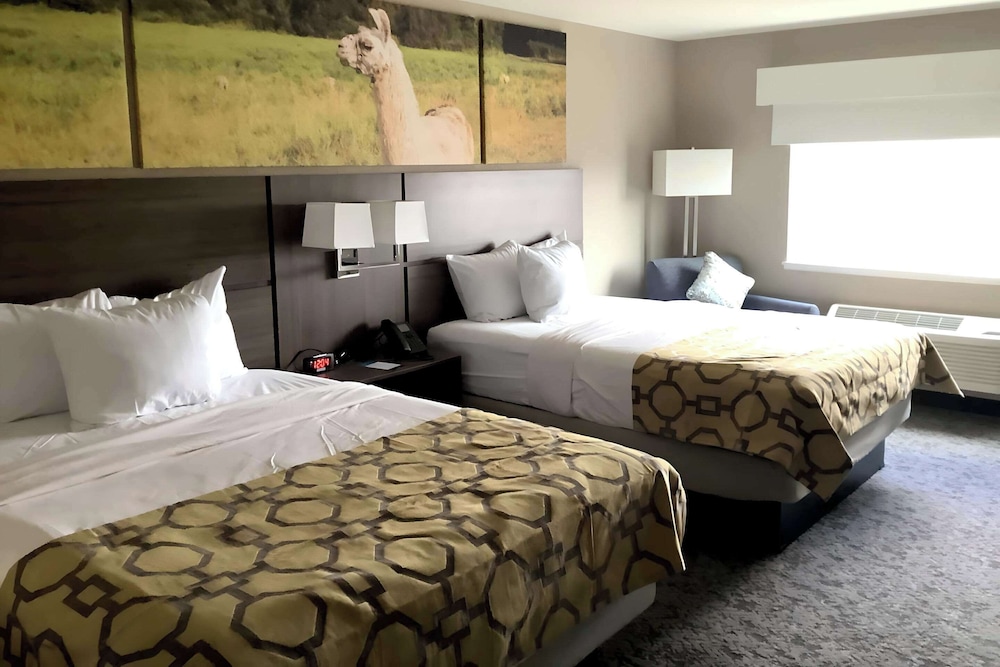 Standard Room, 2 Queen Beds, Non Smoking - Photo 1
