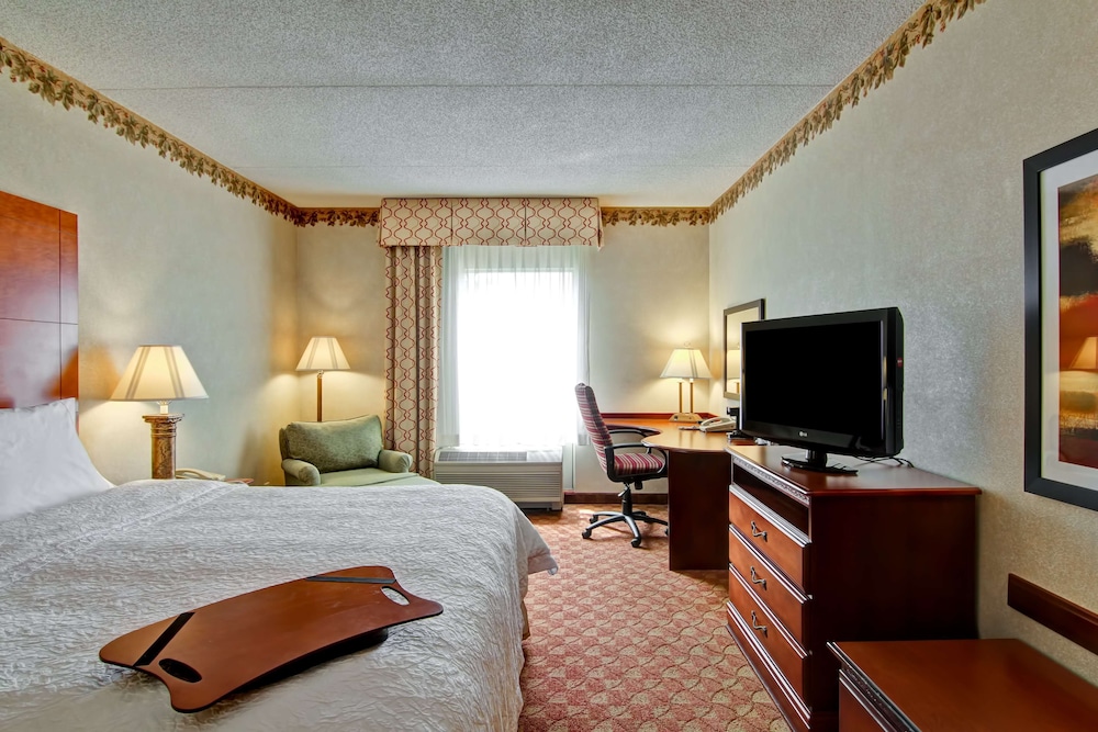 Room, 1 King Bed, Accessible, Non Smoking - Photo 3