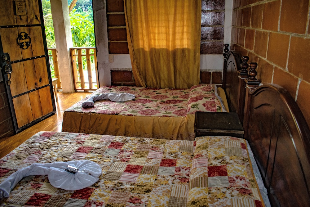 Shared Dormitory photo 3