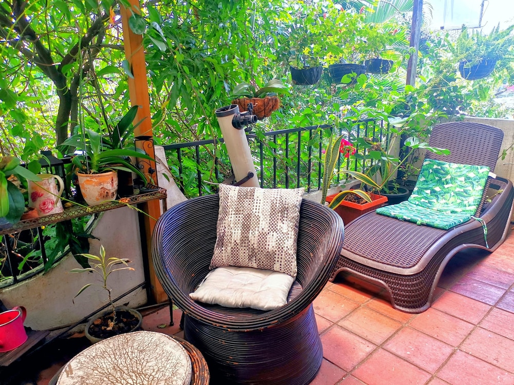 Junior Twin Room, 2 Twin Beds, Shared Bathroom, Garden View photo 2