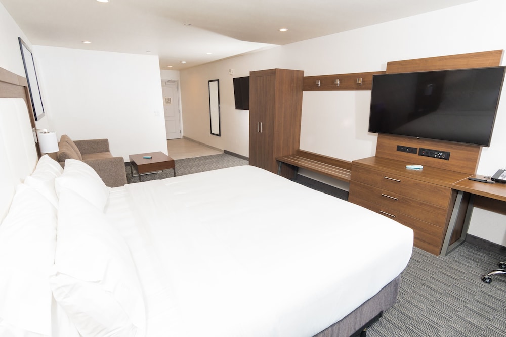 Suite, 1 King Bed (Extra Floor Space)
