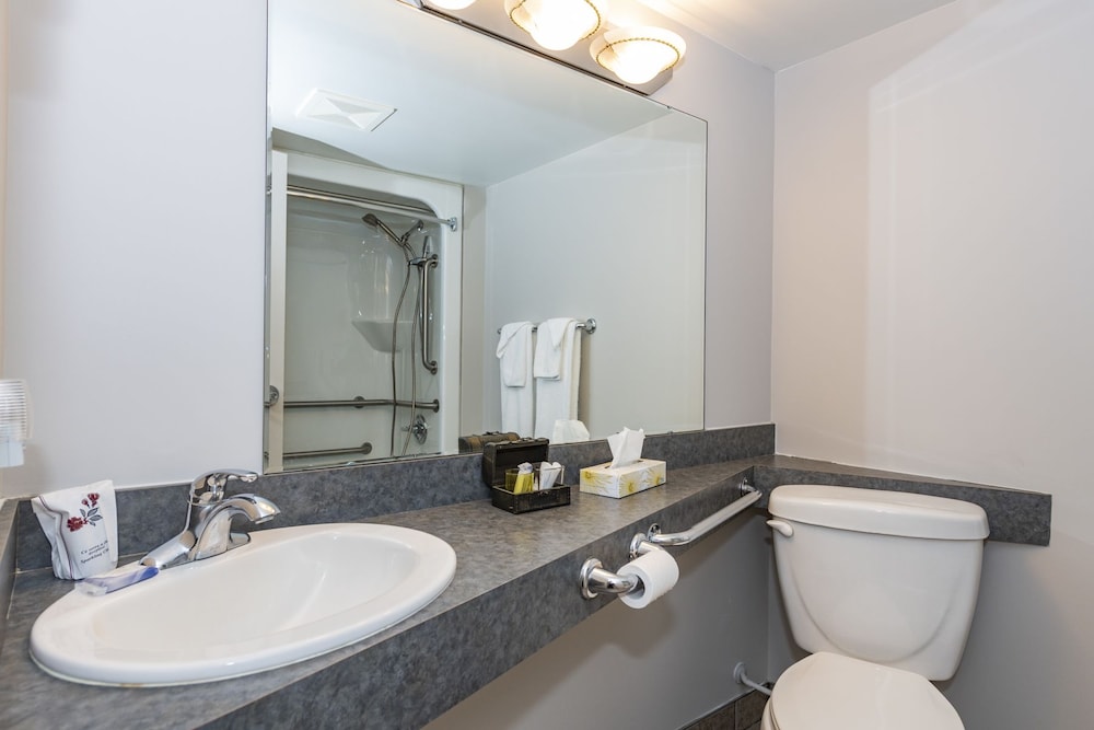 Standard Room, 1 Queen Bed with Sofa bed, Accessible