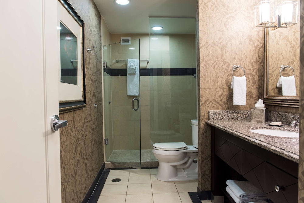Suite, 1 Bedroom - Photo 11