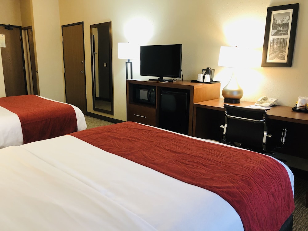 Standard Room, 2 Double Beds, Non Smoking - Photo 2