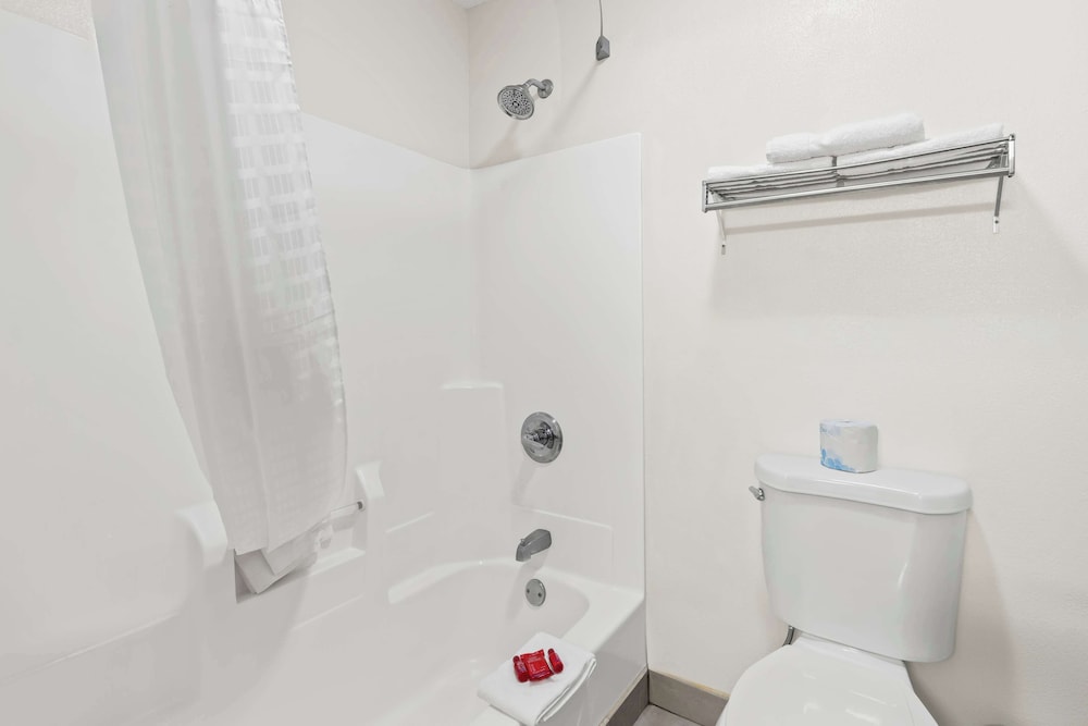 Suite, Multiple Beds, Non Smoking, Refrigerator & Microwave (with Sofabed) - Photo 4