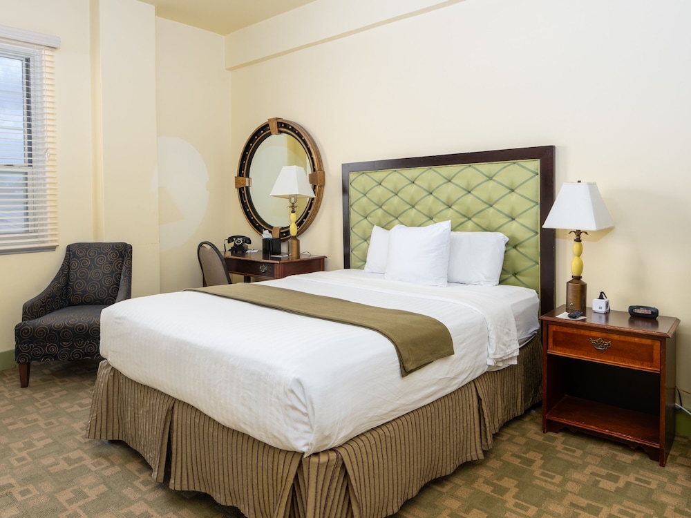 Room, 1 King Bed photo 1