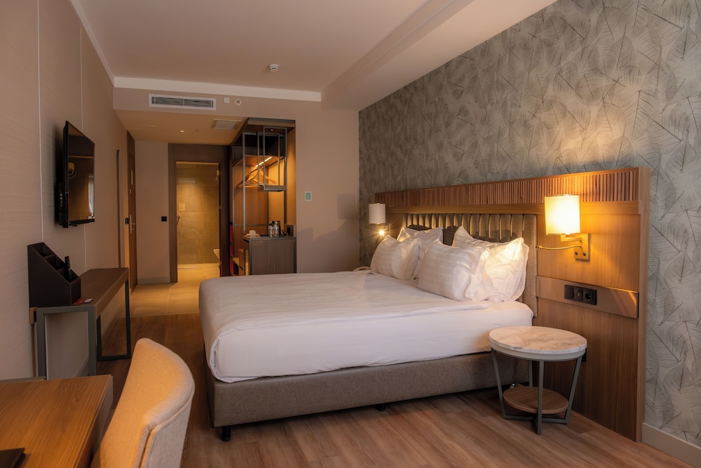Standard Room, 1 King Bed with Sofa bed, City View photo 3