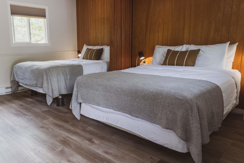Studio, 2 Queen Beds, Terrace photo 1