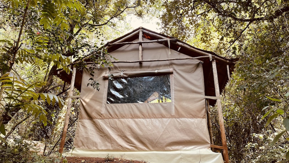 Deluxe Tent photo 2
