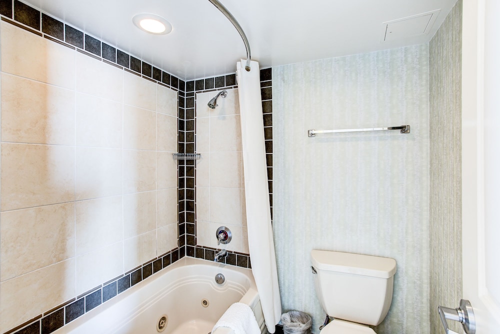 Suite, 1 Bedroom - Photo 16