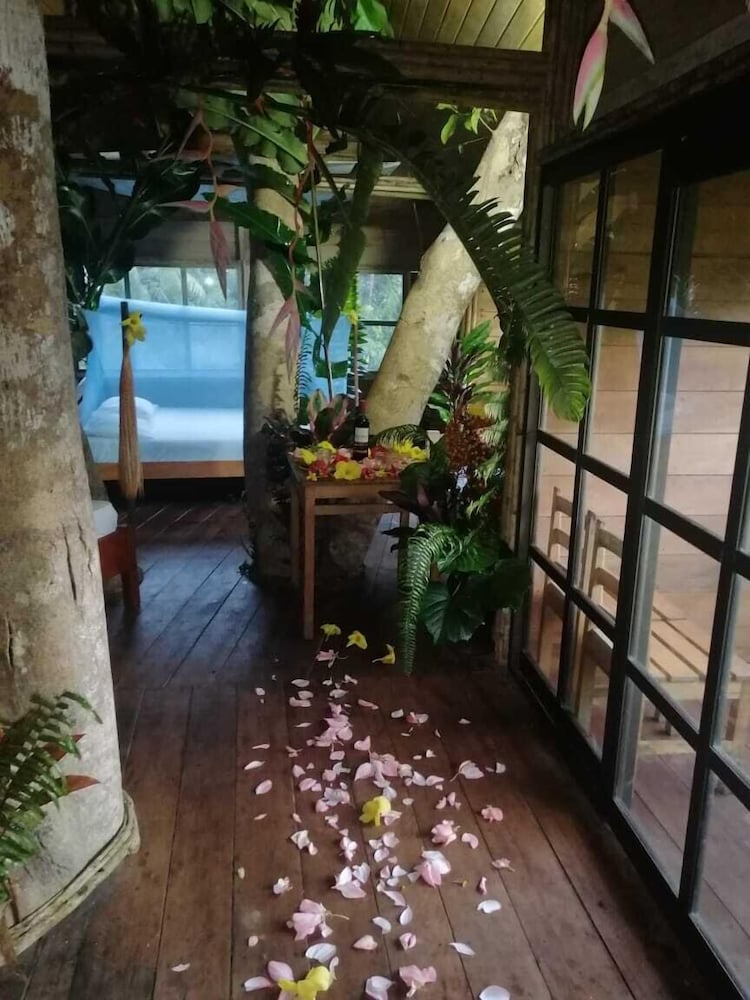 Tree House photo 1