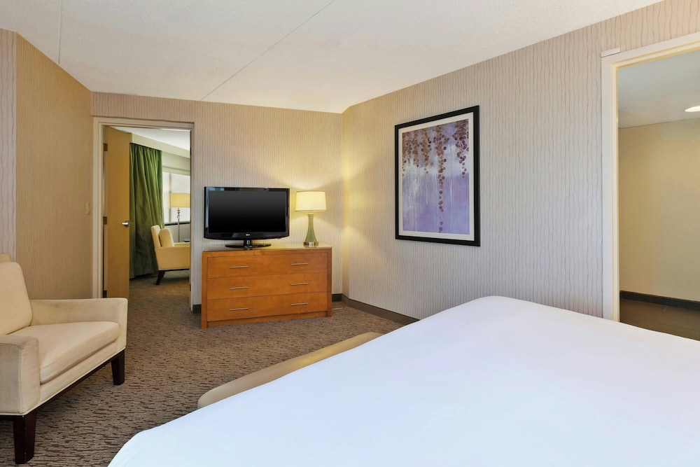 Deluxe Suite, 1 Bedroom photo 2