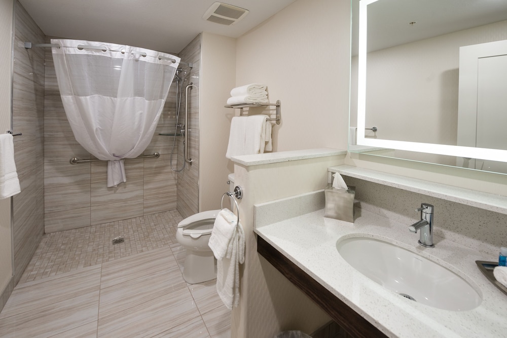 Accessible, Roll-in Shower, Standard Room, 1 King Bed photo 3
