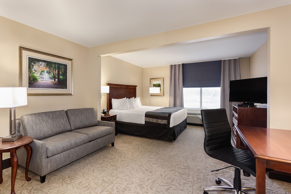 Standard Room, 1 King Bed With Sofa Bed photo 3