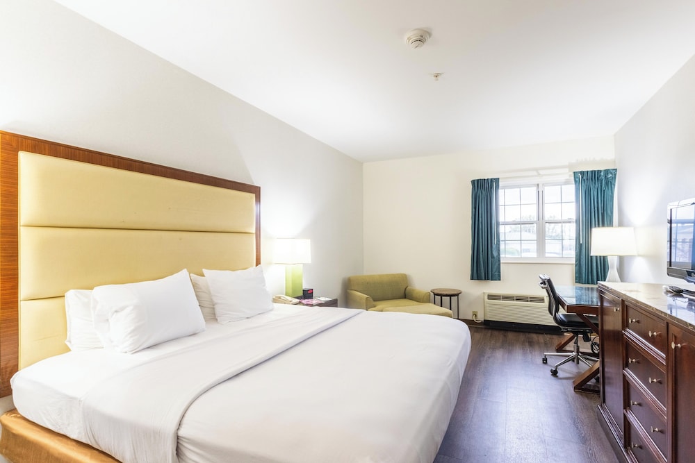 Single Room, 1 King Bed photo 1