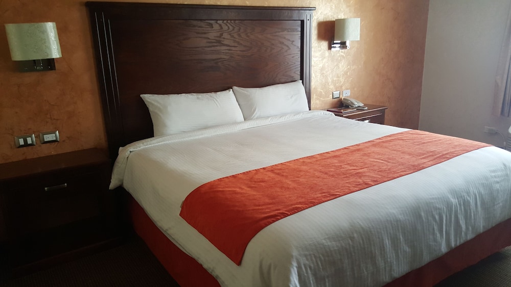 Double Room, 1 King Bed